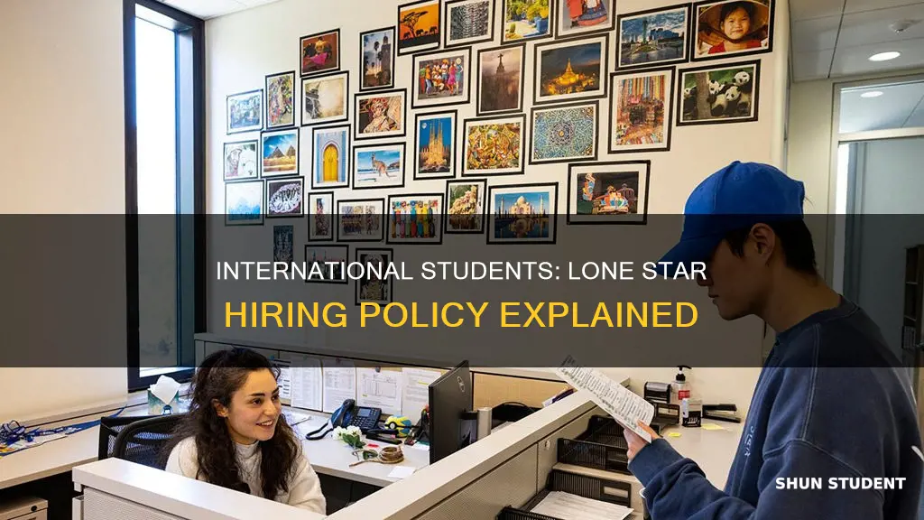 does lone star hire international students