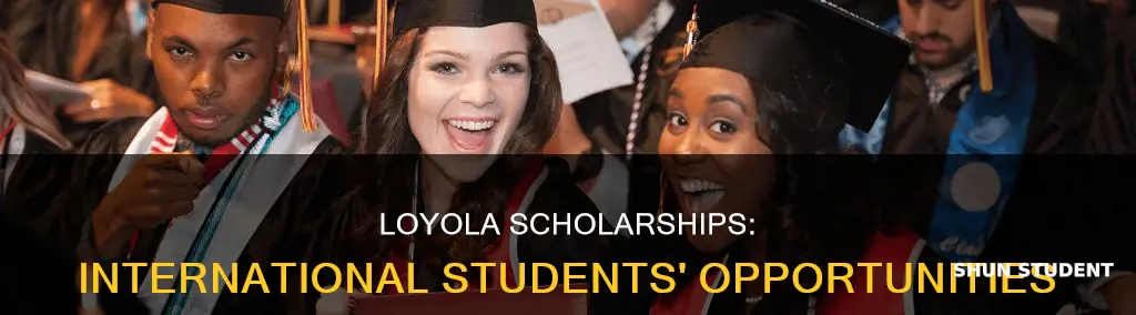 does loyola provide scholarship to international students