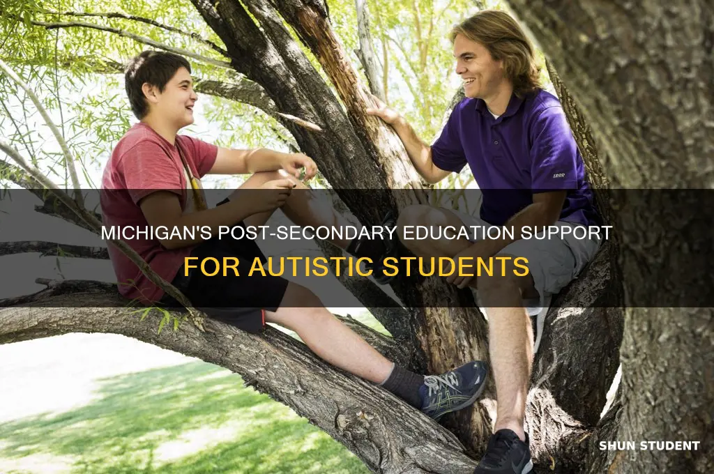 does michigan pay for post secondary education for autistic students