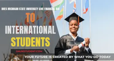 Financial Aid for International Students at Michigan State University