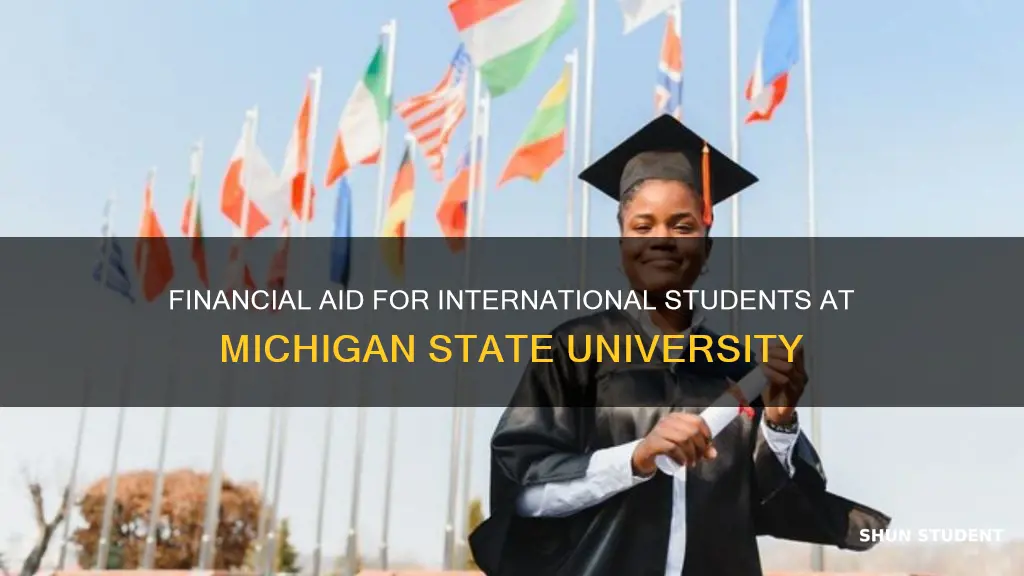 does michigan state university give financial aid to international students