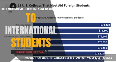 Financial Aid Options for International Students at Michigan State University