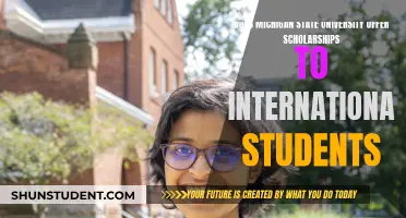 Scholarships for International Students at Michigan State University