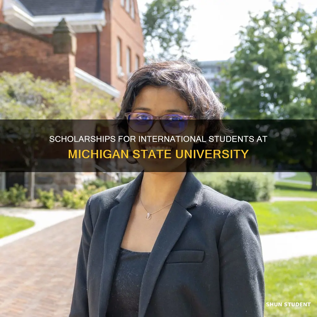 does michigan state university offer scholarships to international students