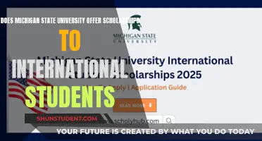 Michigan State University: Scholarships for International Students?