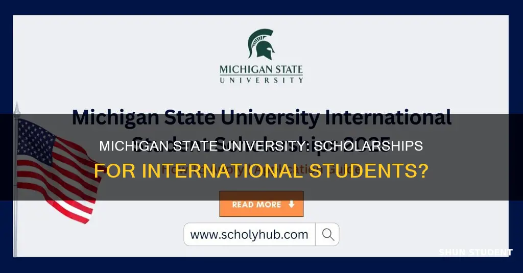 does michigan state university offer scholarships to international students