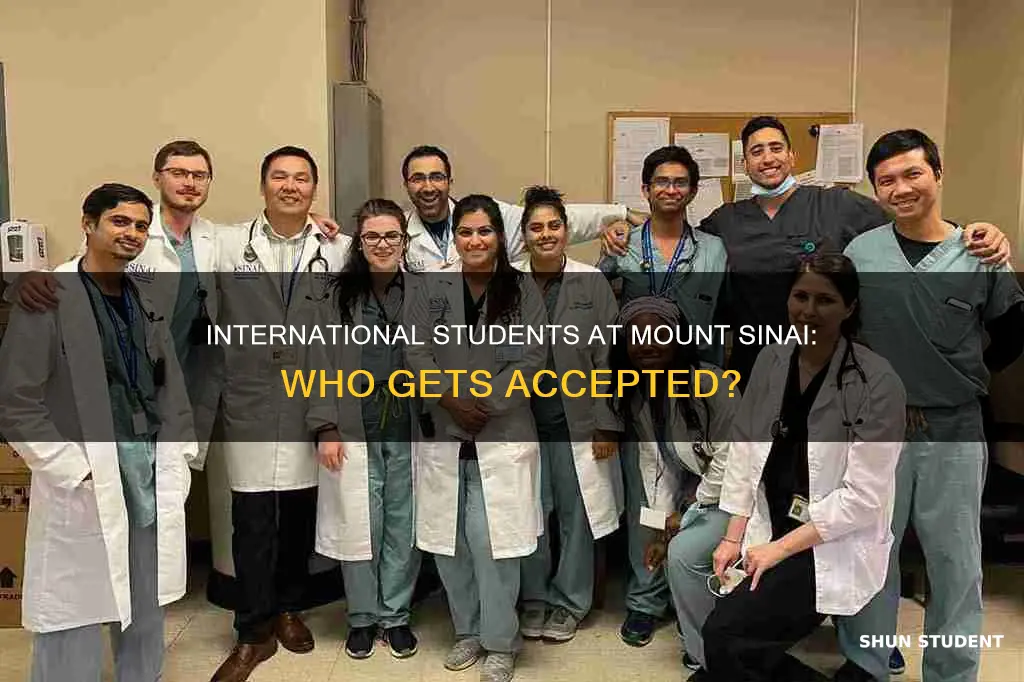 does mount sinai accepts international students