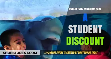 Mystic Aquarium Student Discount: Savings for Young Explorers Revealed
