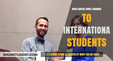NAFSA Awards: Recognizing International Students' Achievements