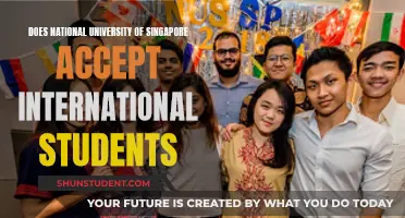 National University of Singapore: Open to International Students?