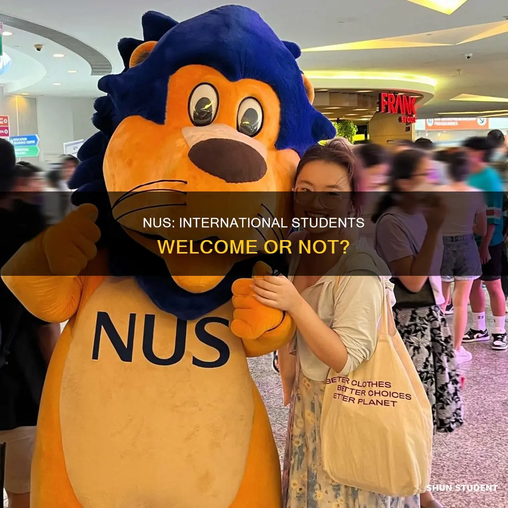 does national university of singapore accept international students