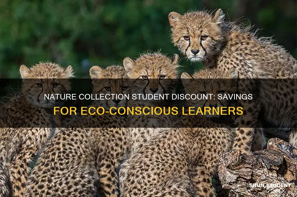 does nature collection have student discount