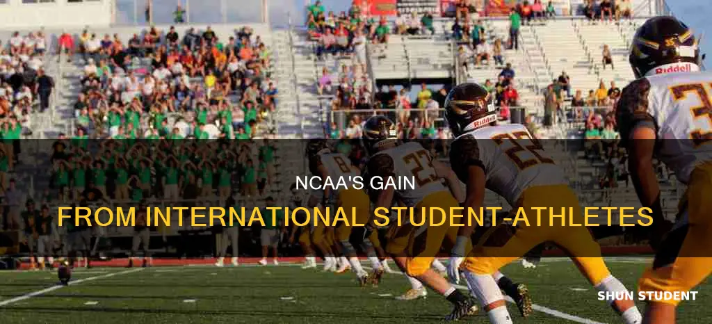 does ncaa benefit from international student-athletes