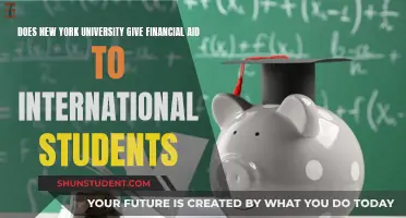 NYU Financial Aid: International Students' Options Explored