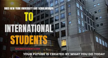 International Students: NYU Scholarships and Eligibility