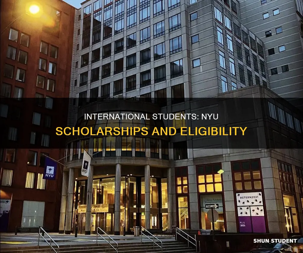 does new york university give scholarships to international students