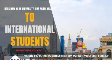 International Students: NYU Scholarship Opportunities