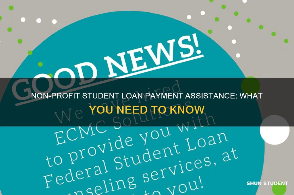 does non profit organizations help pay off student loans