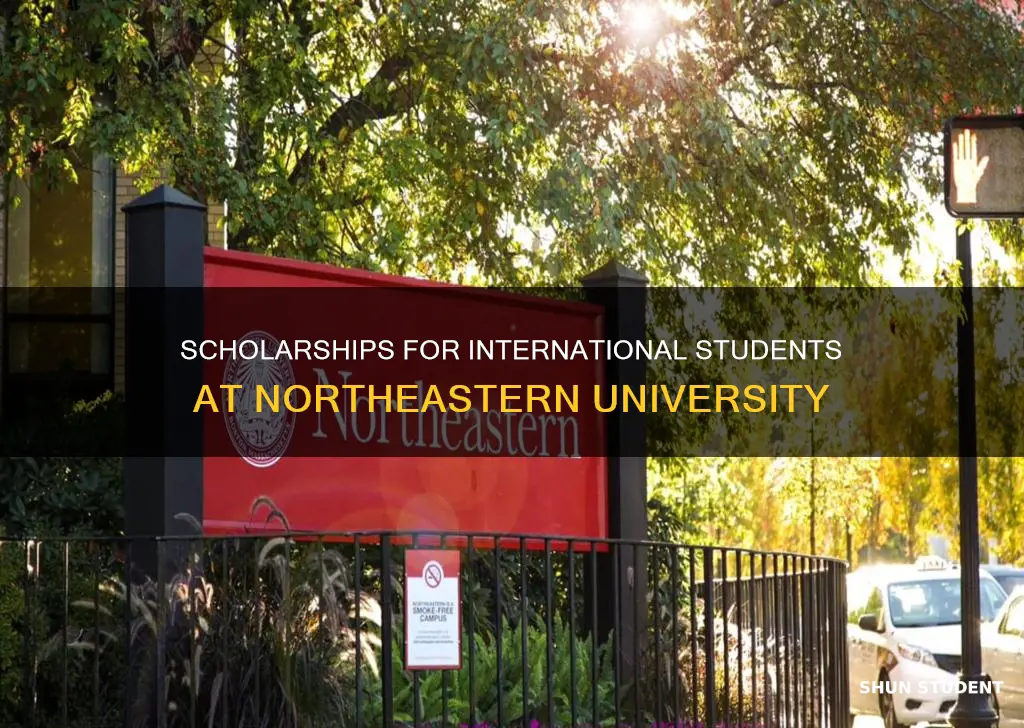 does northeastern give scholarships to international students