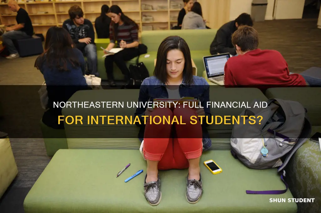 does northeastern meet full financial need for internation students