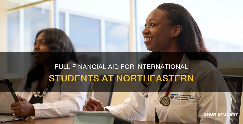 does northeastern meet full need for international students