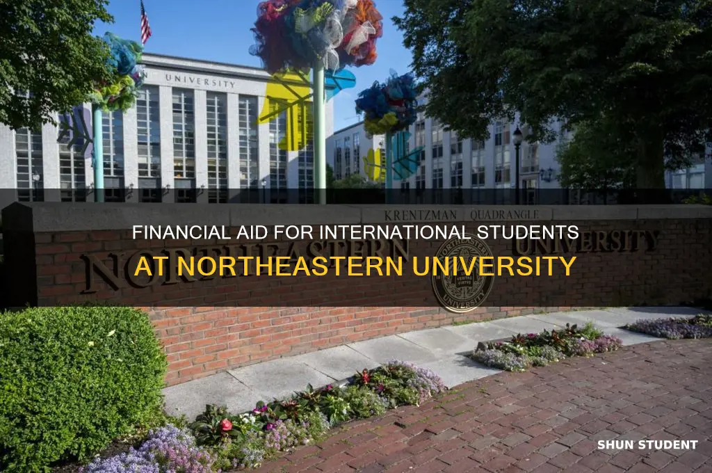 does northeastern university give financial aid to international students