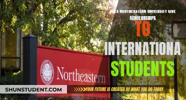 Northeastern University Scholarships: International Students' Opportunities