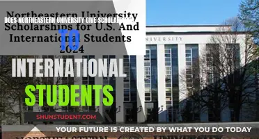 International Students: Scholarships at Northeastern University