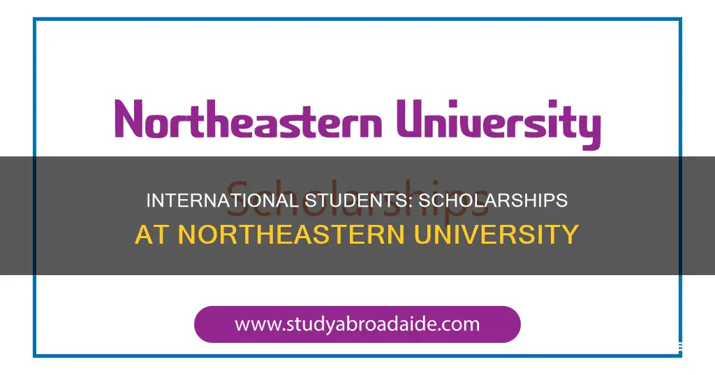 does northeastern university give scholarships to international students