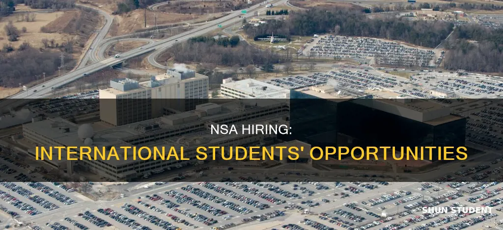 does nsa hire international students