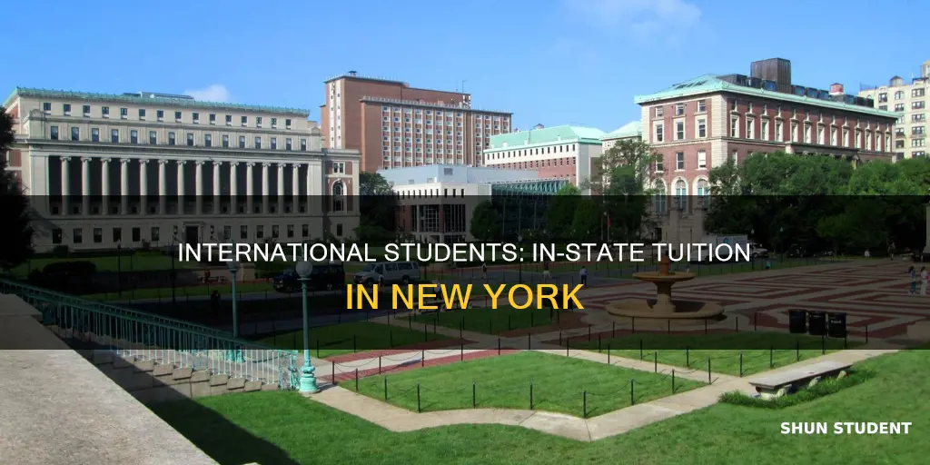 does ny gives instate tuition for international students