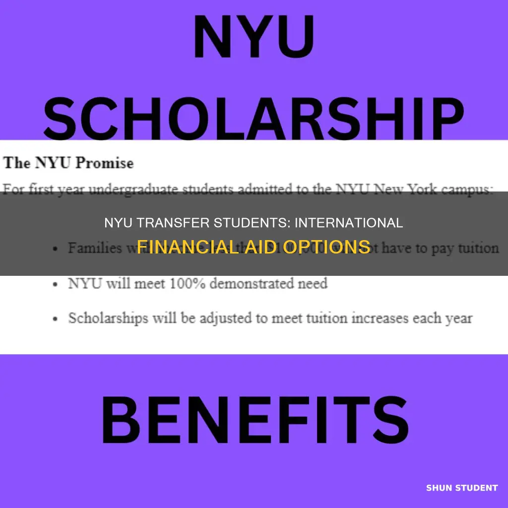 does nyu ad provide financial aid to international transfer students
