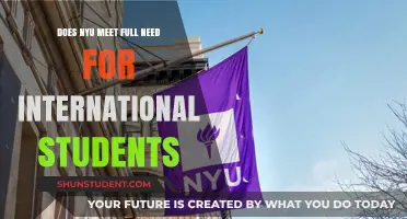 NYU Financial Aid: International Students' Needs Met?
