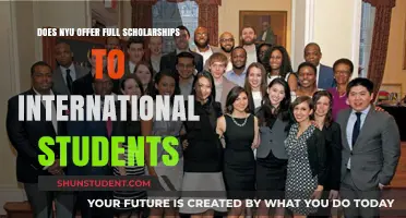 Full Scholarships at NYU: International Students' Chances