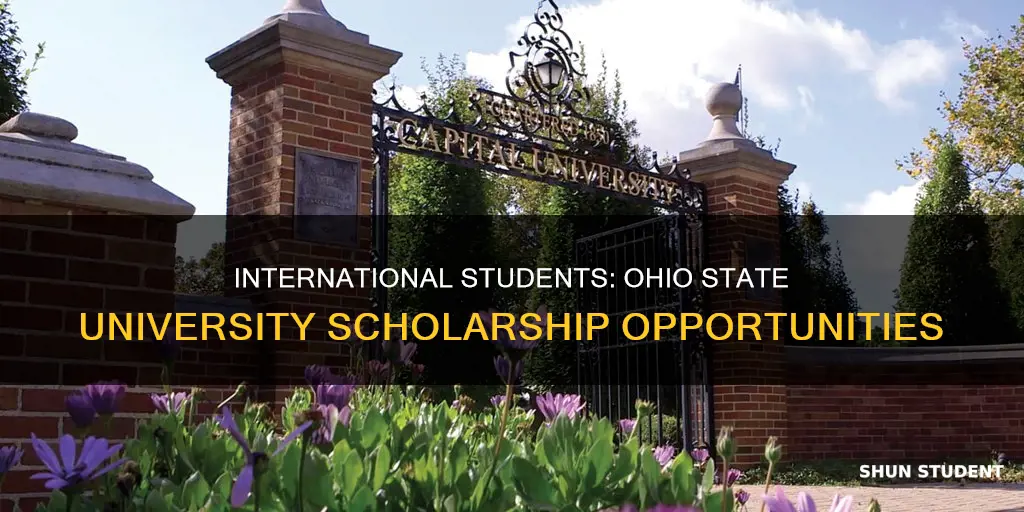 does ohio state university give scholarships to international students