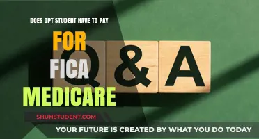 OPT Students and FICA Medicare: Who Pays?