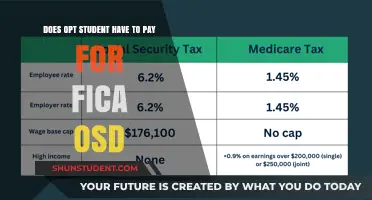 OPT Students and FICA: What's the Deal?