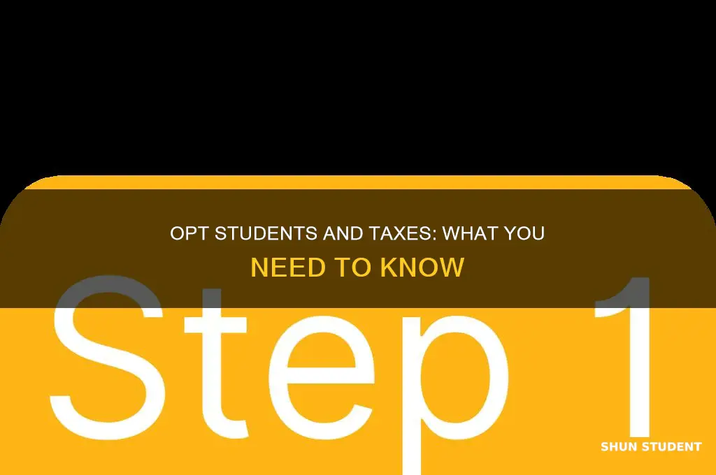 does opt student pay taxes