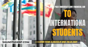 Pace University: Financial Aid for International Students?