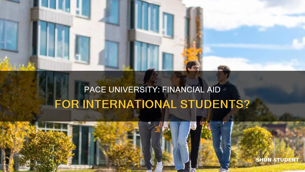 does pace university give financial aid to international students