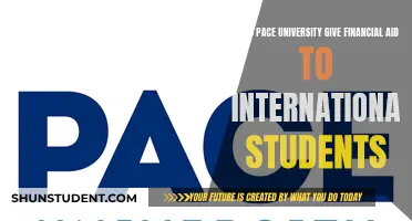 Pace University: Financial Aid for International Students?