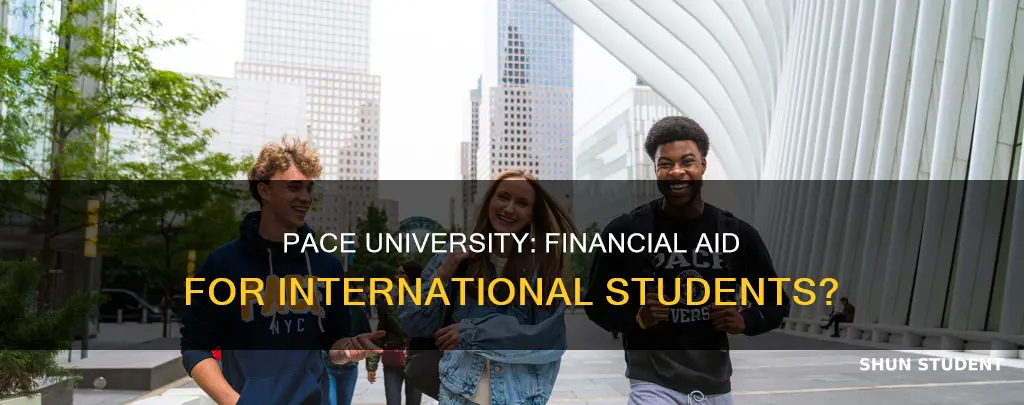 does pace university give financial aid to international students