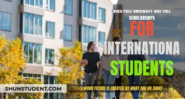 Pace University: Full Scholarships for International Students?