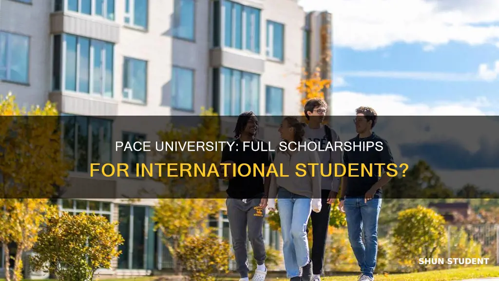 does pace university give full scholarships for international students