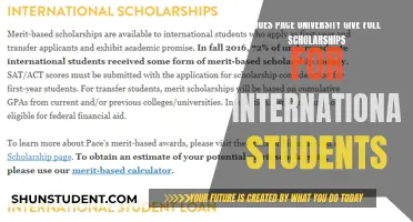 Full Scholarships for International Students at Pace University?