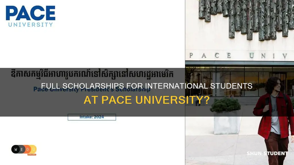 does pace university give full scholarships for international students