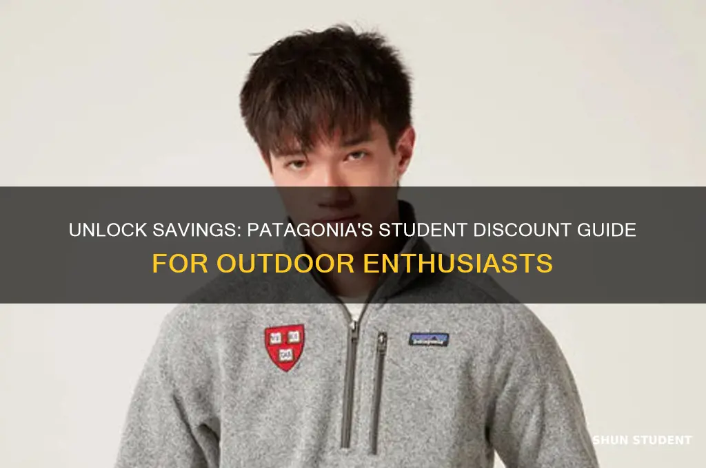 does patagonia have a student discount