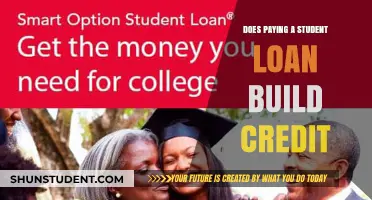 Student Loan Strategies: Building Credit and Beyond