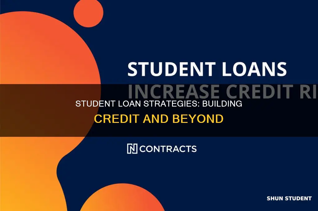 does paying a student loan build credit