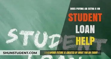 Student Loan Strategies: Is Extra Payment Worthwhile?